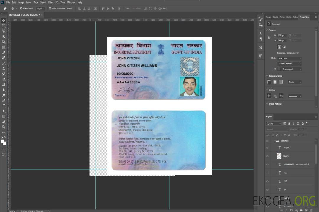 Carte e-PAN Inde template Carte e-PAN Inde template